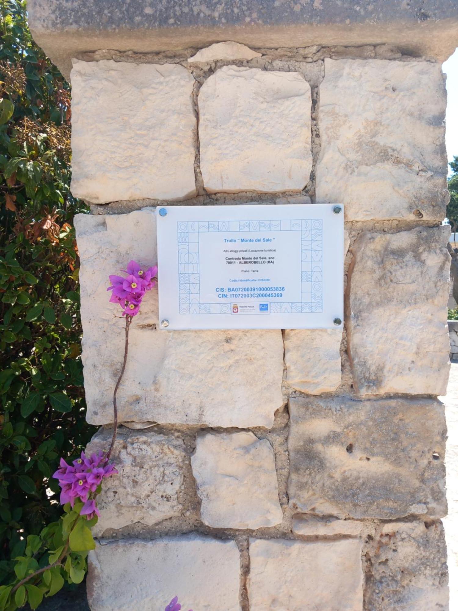 منزل الضيف ألبيروبيللو  في Trullo Monte Del Sale المظهر الخارجي الصورة