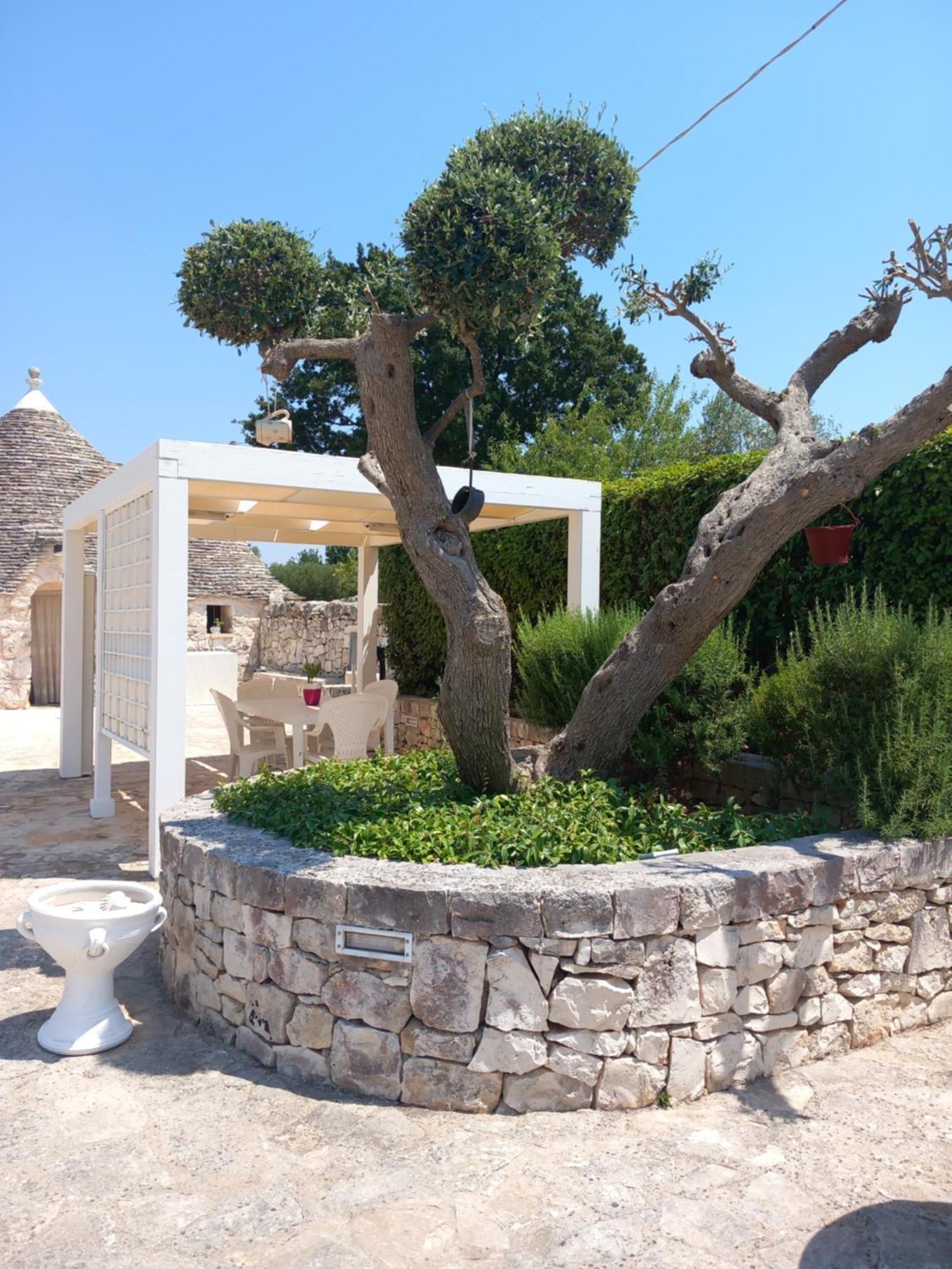 منزل الضيف ألبيروبيللو  في Trullo Monte Del Sale المظهر الخارجي الصورة