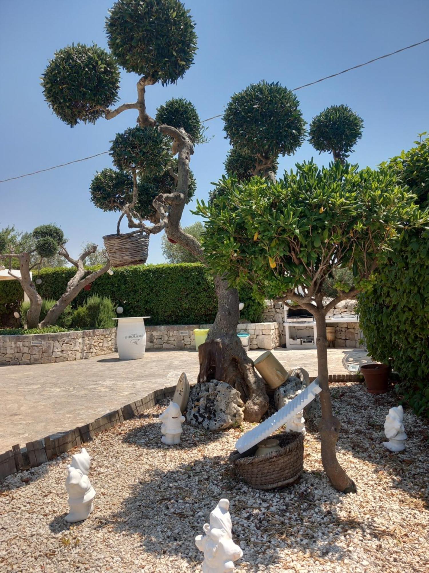 منزل الضيف ألبيروبيللو  في Trullo Monte Del Sale المظهر الخارجي الصورة