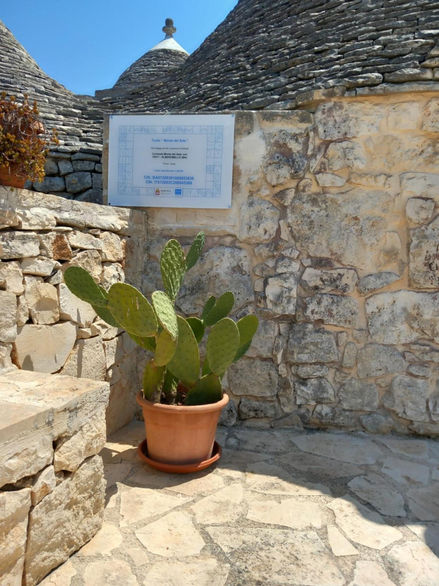منزل الضيف ألبيروبيللو  في Trullo Monte Del Sale المظهر الخارجي الصورة