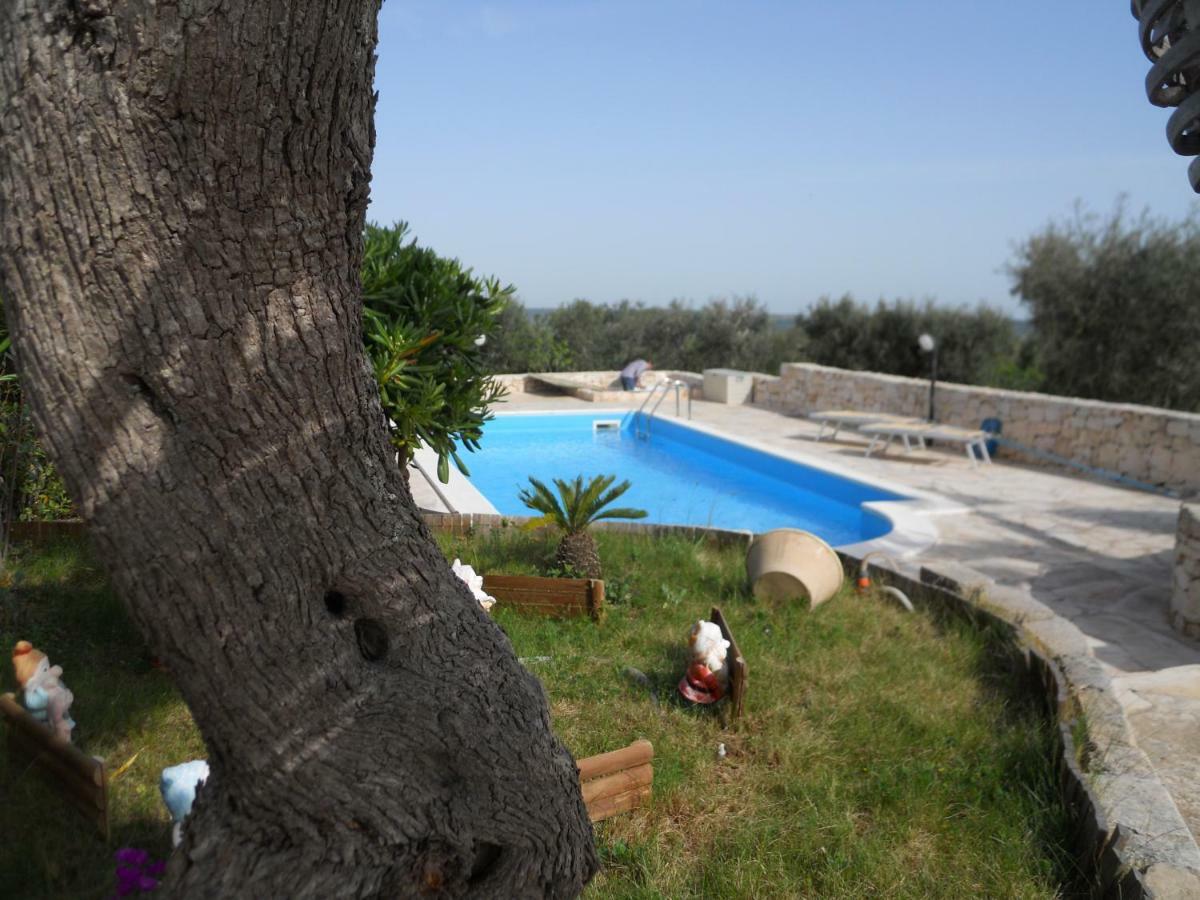 منزل الضيف ألبيروبيللو  في Trullo Monte Del Sale المظهر الخارجي الصورة