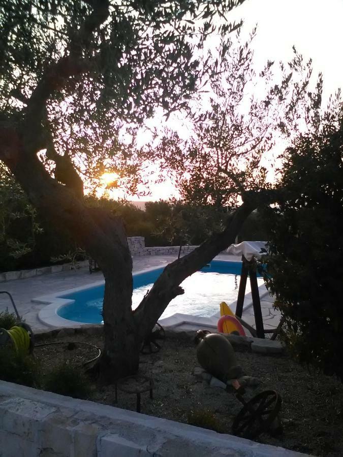 منزل الضيف ألبيروبيللو  في Trullo Monte Del Sale المظهر الخارجي الصورة