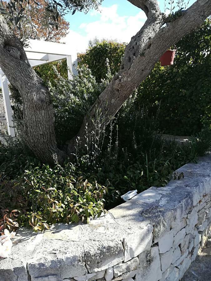 منزل الضيف ألبيروبيللو  في Trullo Monte Del Sale المظهر الخارجي الصورة