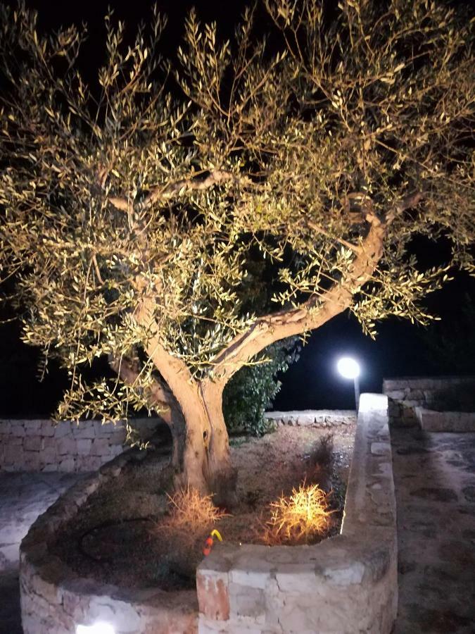 منزل الضيف ألبيروبيللو  في Trullo Monte Del Sale المظهر الخارجي الصورة