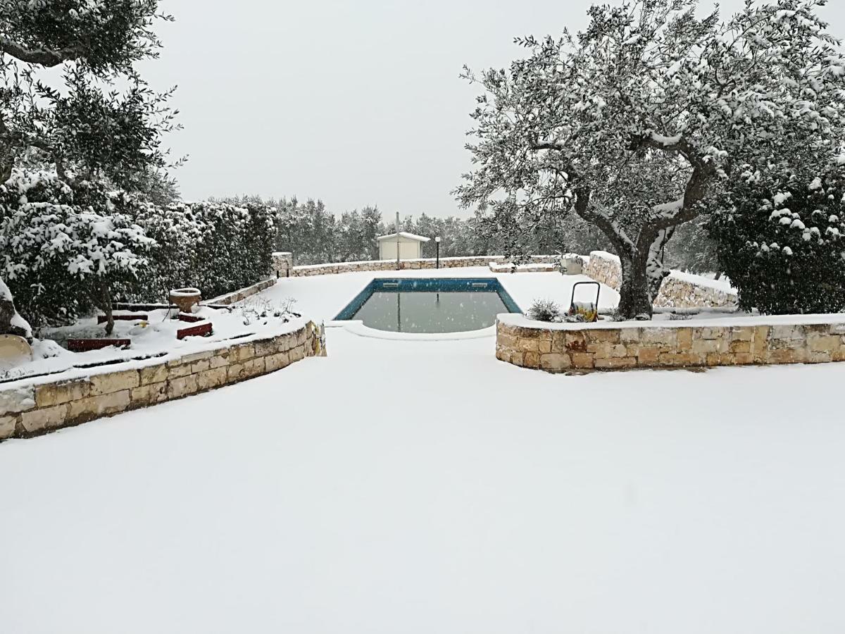 منزل الضيف ألبيروبيللو  في Trullo Monte Del Sale المظهر الخارجي الصورة