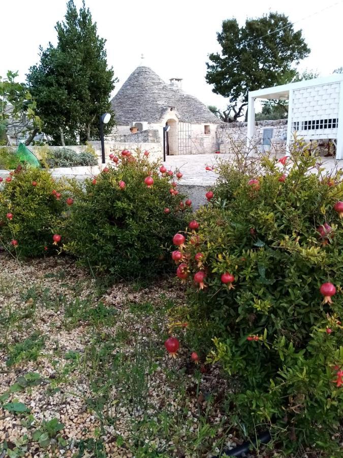 منزل الضيف ألبيروبيللو  في Trullo Monte Del Sale المظهر الخارجي الصورة